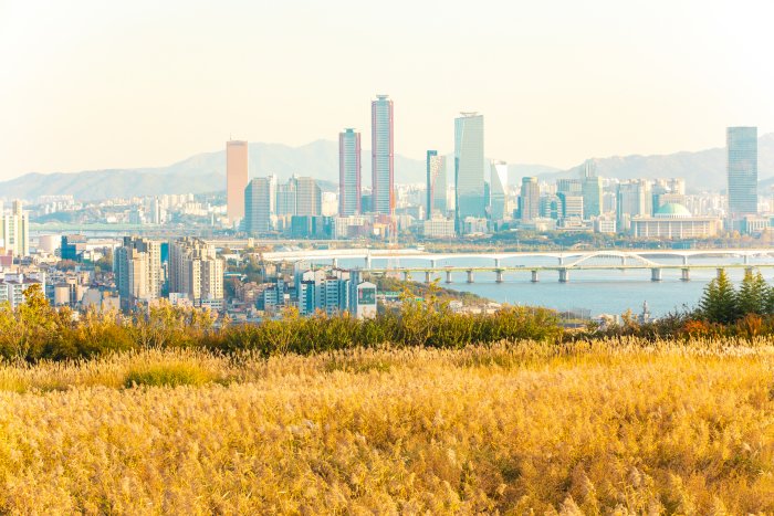 [Seúl] Parque Haneul (하늘공원)