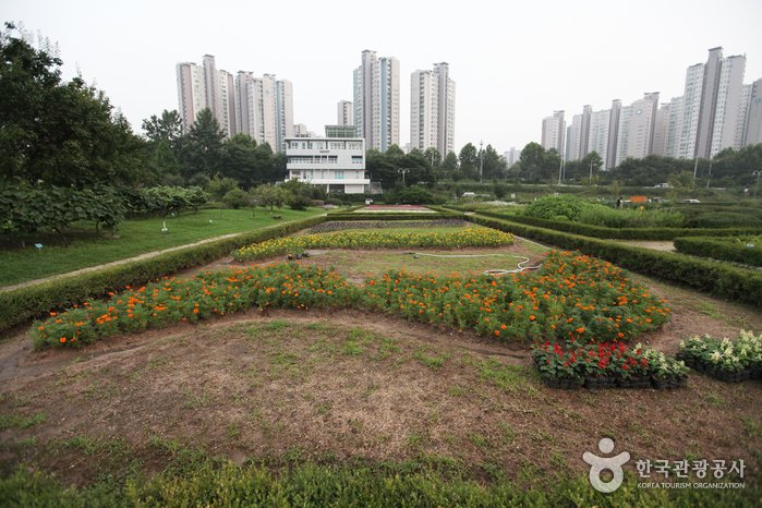 [Seúl] Parque Jamsil del Río Hangang (잠실한강공원)