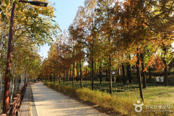 [Seúl] Parque Seonyudo (선유도공원)