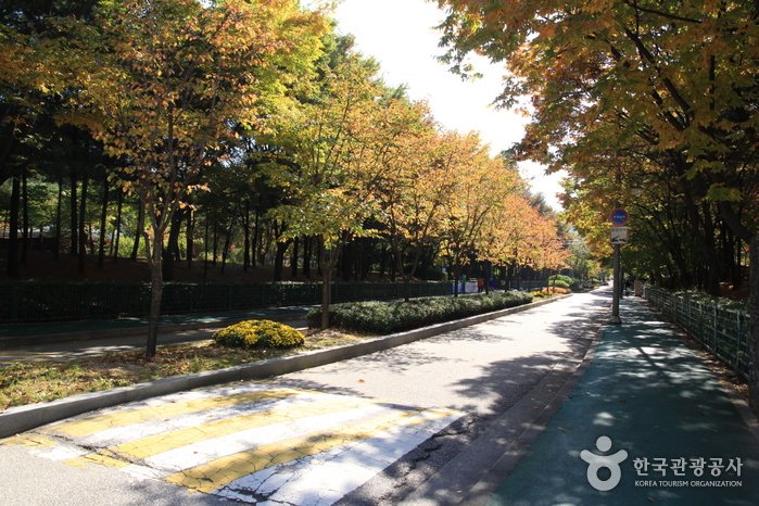 [Seúl] Monte Bonghwasan en Seúl (봉화산(서울))