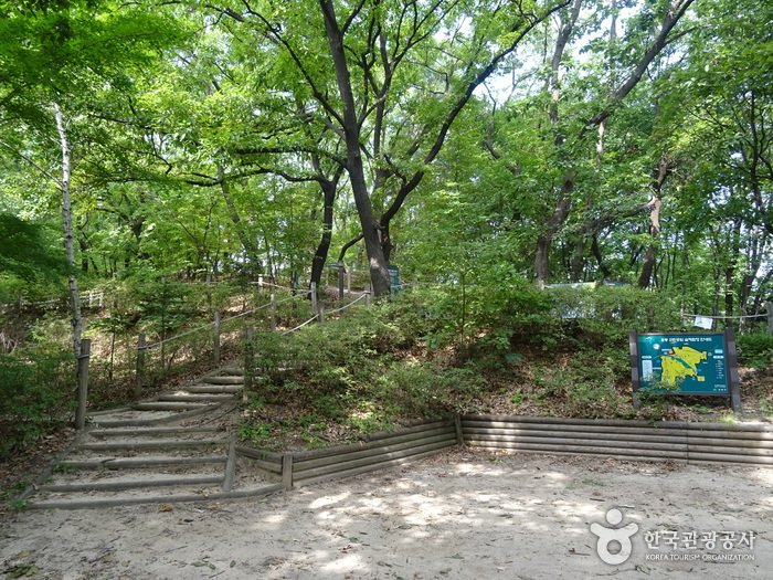 [Seúl] Parque Municipal Odong (오동근린공원)