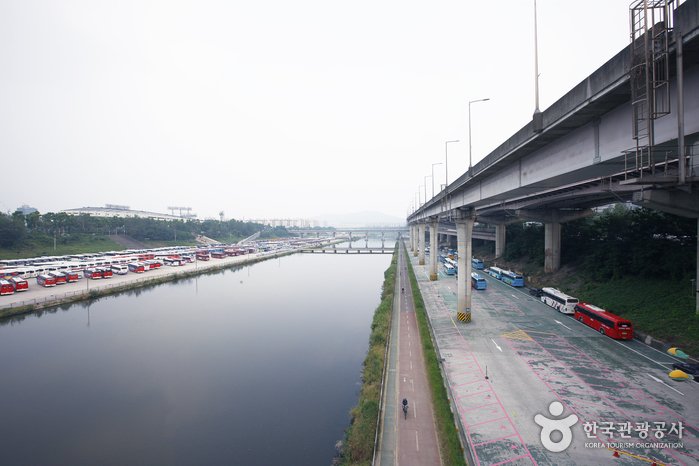 [Seúl] Arroyo Tancheon (탄천)