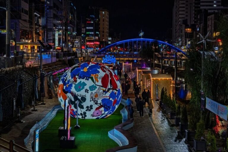[Seúl] Paseo de las Estrellas de Gwanak (관악별빛산책)