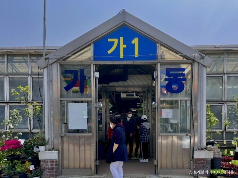 [Seúl] Mercado de Flores de Yangjae (양재꽃시장)