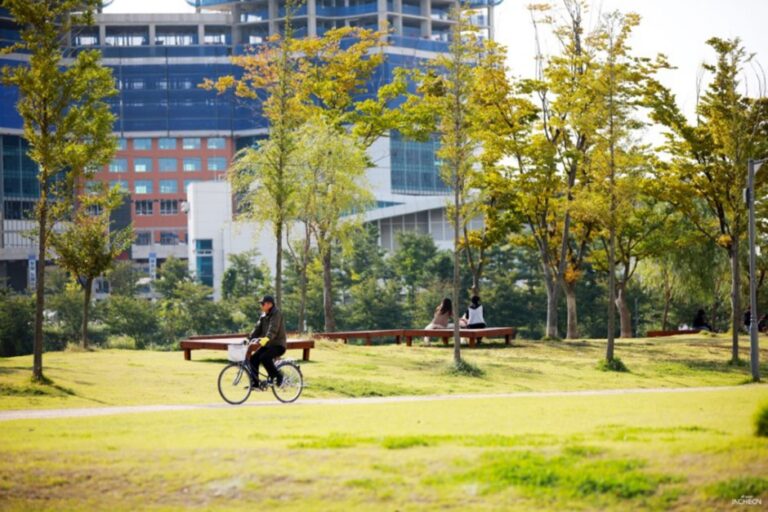 [Incheon] Parque de Perros en Songdo (송도 도그파크)