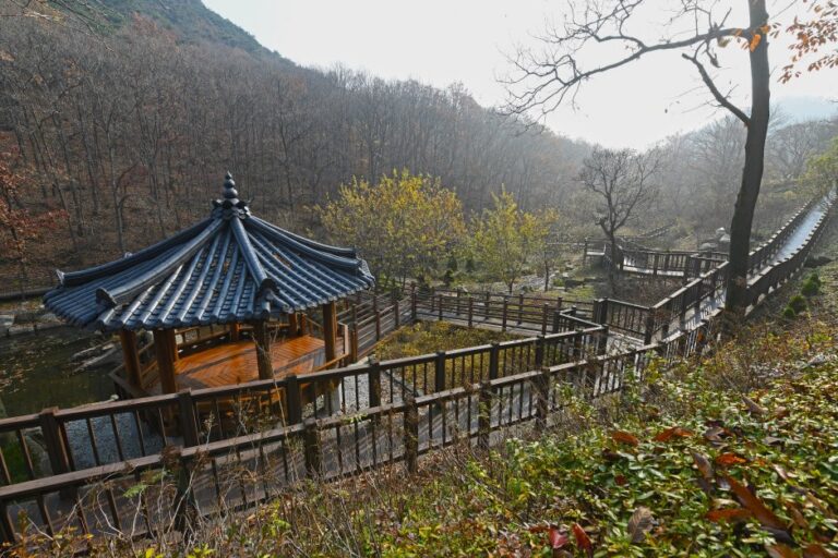 [Incheon] Arboreto de la Isla Seokmodo (석모도 수목원)