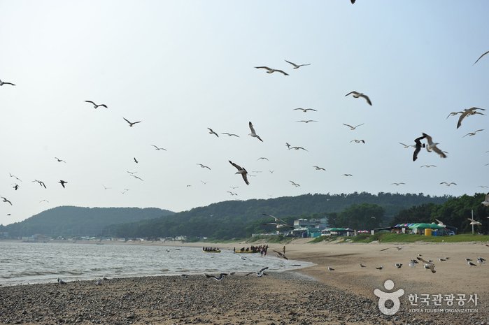 [Incheon] Playa Masian de la Isla Yongyudo (용유도 마시안해변)