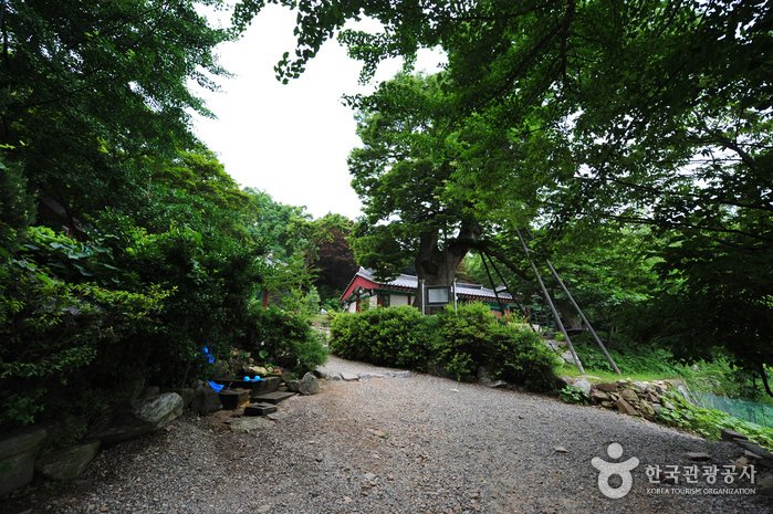 [Incheon] Templo Yonggungsa en Incheon (용궁사(인천))