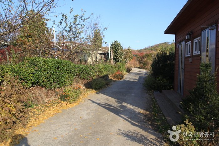 [Incheon] [Ruta 7 del Sendero Nadeul-gil de Ganghwa] Camino para Ver el Ocaso ([강화 나들길 제7코스] 낙조보러 가는 길)
