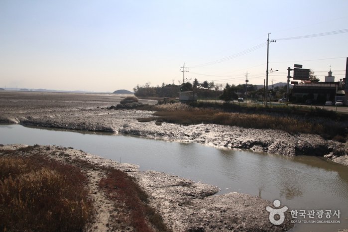 [Incheon] [Ruta 8 del Sendero Nadeul-gil de Ganghwa] Camino para Observar Aves Migratorias ([강화 나들길 제8코스] 철새 보러 가는 길)