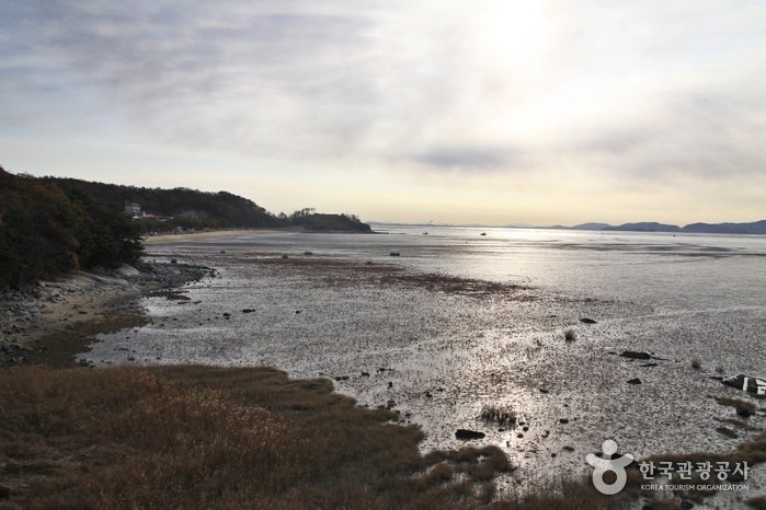 [Incheon] [Ruta 6 del Sendero Nadeul-gil de Ganghwa] Camino a la Casa Natal de Hwanam ([강화 나들길 제6코스] 화남생가 가는 길)
