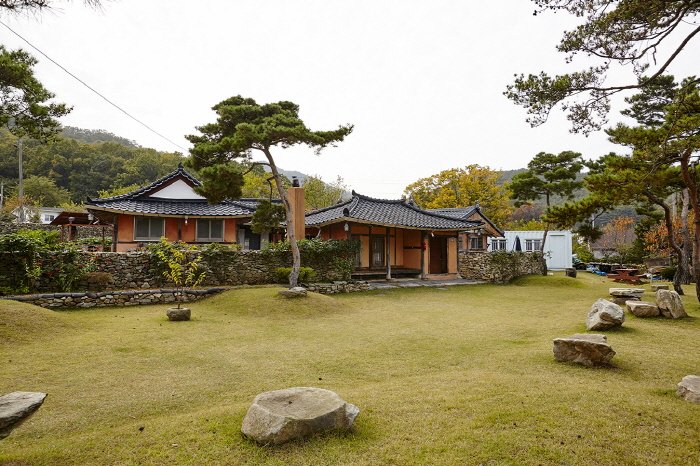 [Incheon] Golden Grass / 옛날에금잔디