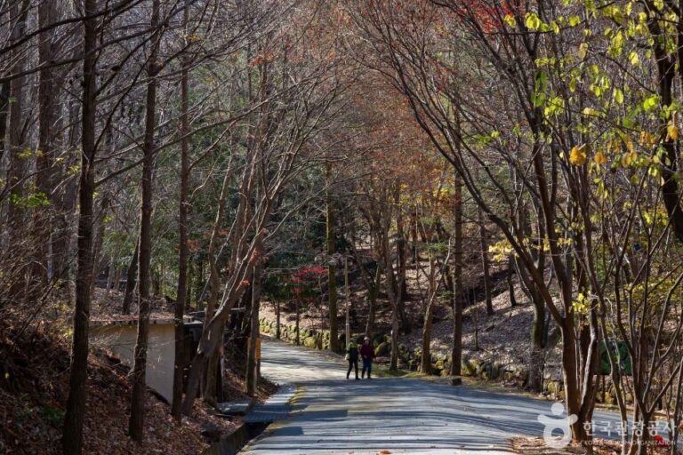 [Daejeon] Bosque Recreativo del Monte Maninsan (만인산 자연휴양림)