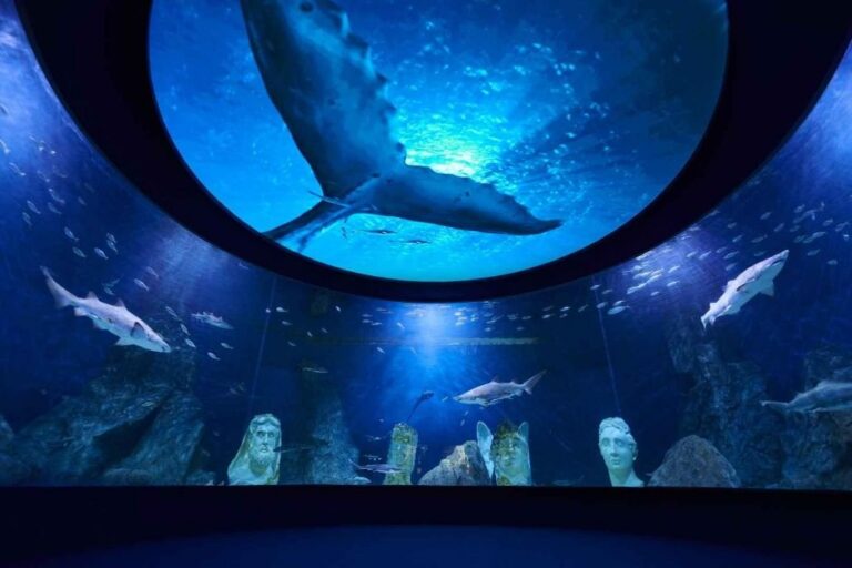 [Daejeon] Aquarium de la Expo de Daejeon (대전 엑스포 아쿠아리움)
