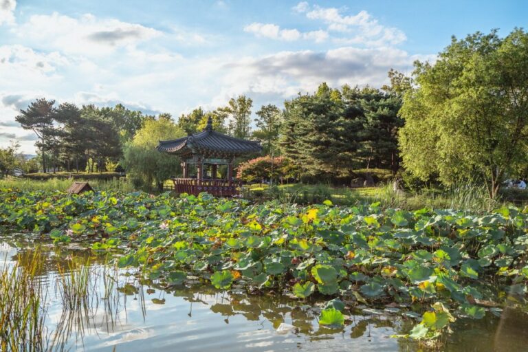 [Daejeon] Parque Yurim (유림공원)
