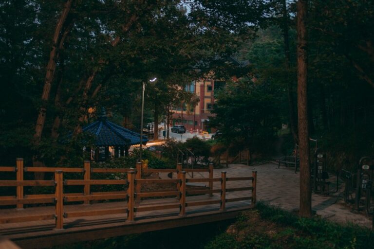 [Daejeon] Sendero Dulle-gil del Bosque Feliz del Monte Bomunsan (보문산 행복 숲 둘레길)