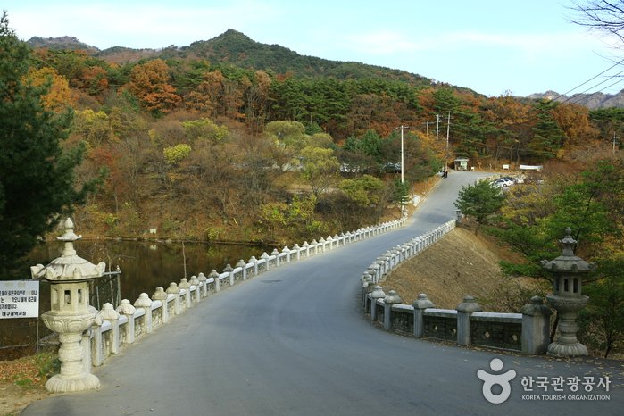 [Daegu] Parque Nacional del Monte Palgongsan (Área de Donghwasa) (팔공산국립공원(동화사지구))
