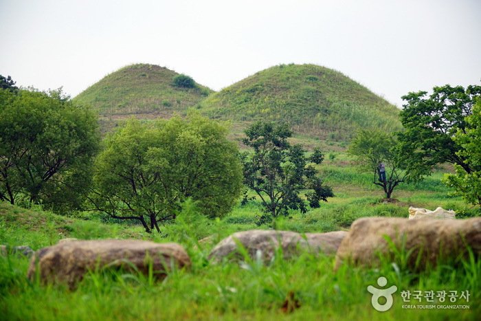 [Daegu] Parque de Tumbas Antiguas de Bullo-dong (대구 불로동 고분군)