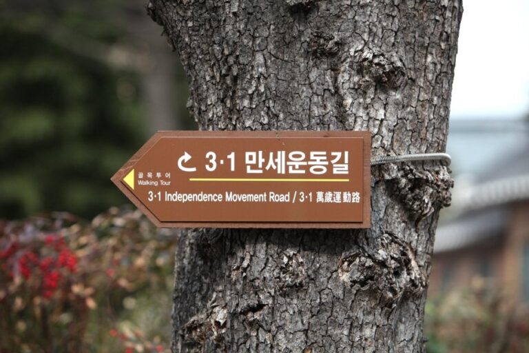 [Daegu] Calle del Movimiento del 1º de Marzo Manse (3.1만세운동길)
