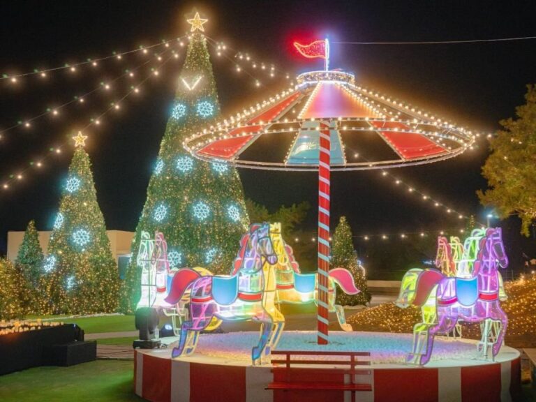 [Daegu] Festival de Navidad del Monte Apsan (앞산크리스마스축제)