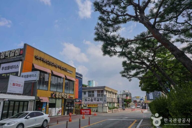 [Gwangju] Callejón del Tteokgalbi de Songjeong-dong en Gwangju (광주 송정동 떡갈비 골목)