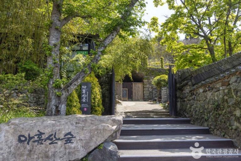 [Busan] Bosque del Monte Ahopsan (아홉산숲)