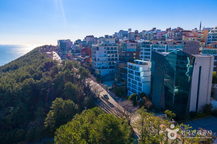 [Busan] Sendero Dalmaji-gil de Haeundae (해운대 달맞이길)