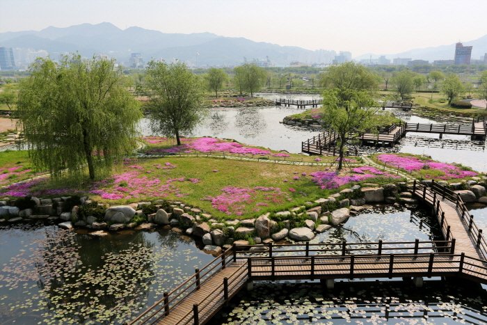 [Busan] Parque Ecológico Samnak (삼락생태공원)