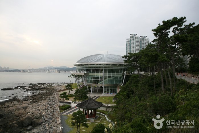 [Busan] Parque Dongbaek (동백공원)