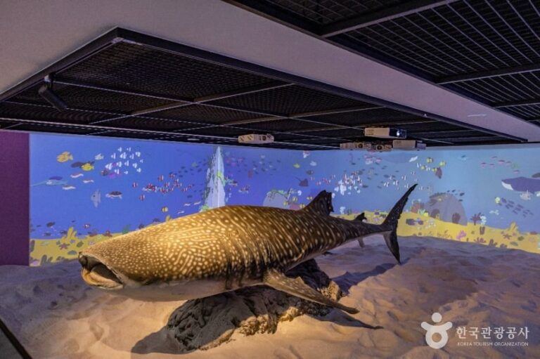 [Busan] Museo de Historia Marina Natural de Busan (부산해양자연사박물관)