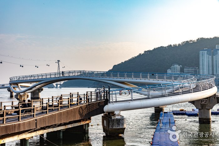 [Busan] Sendero de las Nubes de Songdo (Pasarela Panorámica) (송도 구름산책로(스카이워크))