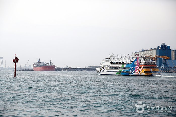 [Ulsan] Crucero de Avistaje de Ballenas de Jangsaengpo (장생포 고래바다여행선)