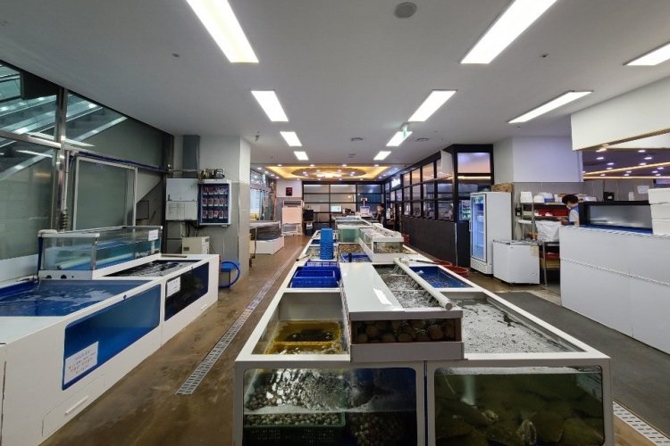 [Sejong] Mercado de Pescado Crudo y Mariscos Jungbu (중부회수산시장)