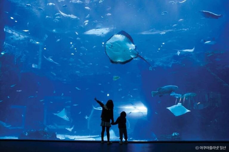 [Gyeonggi-do] Aqua Planet Ilsan (아쿠아플라넷 일산)