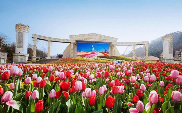 [Gyeonggi-do] Everland (에버랜드)