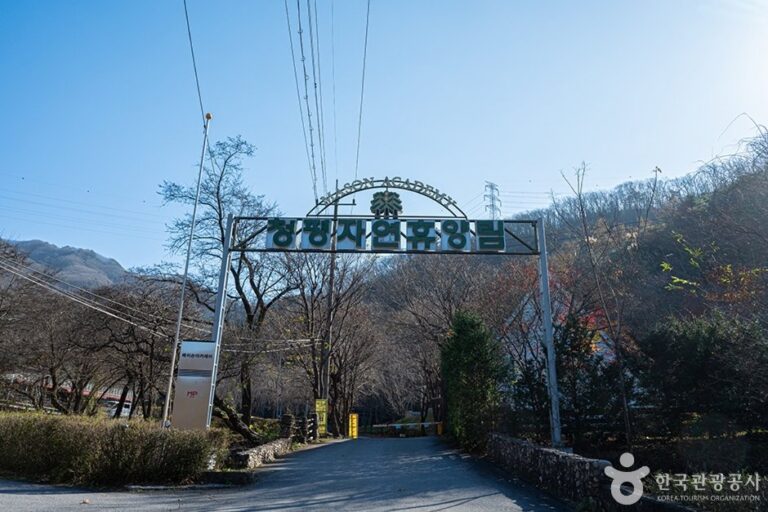 [Gyeonggi-do] Bosque Recreativo Natural de Cheongpyeong (청평자연휴양림)
