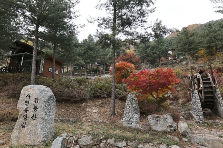 [Gyeonggi-do] Bosque Recreativo Natural del Monte Kalbongsan (칼봉산자연휴양림)
