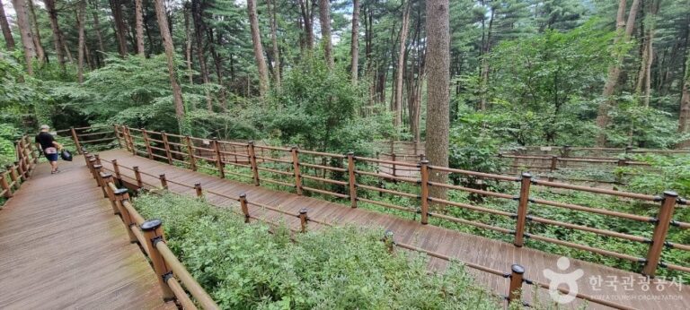 [Gyeonggi-do] Jatyanggi Purunsup Resort (잣향기푸른숲)