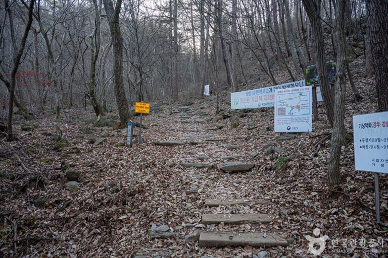 [Gyeonggi-do] Monte Yumyeongsan (유명산)