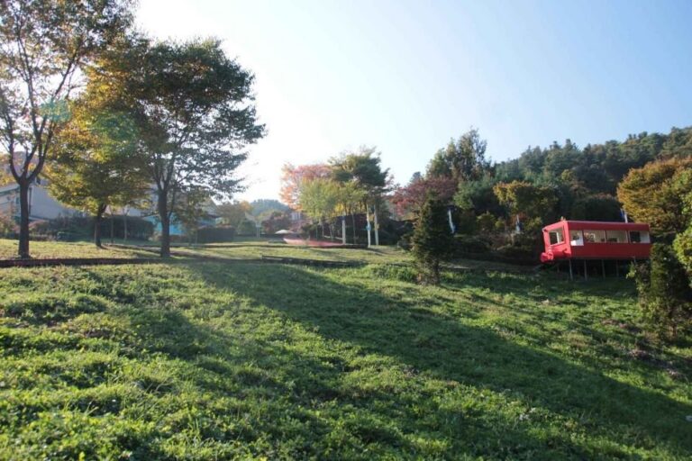 [Gyeonggi-do] Parque Temático Suizo Edelweiss (에델바이스 스위스 테마파크)