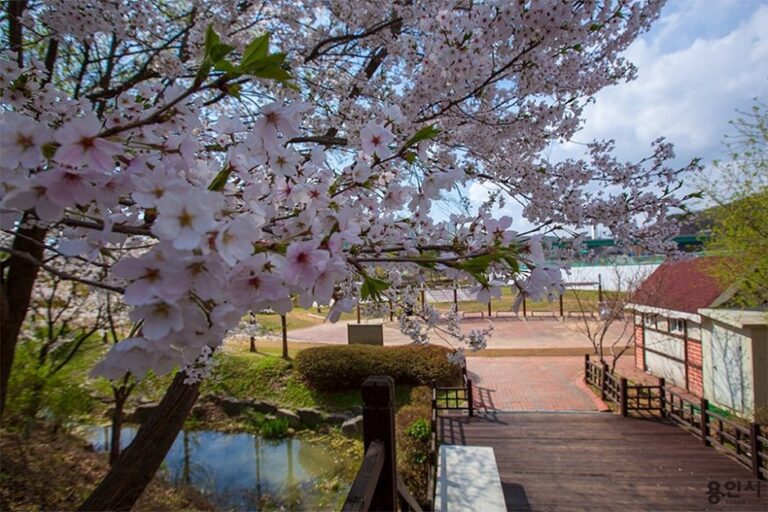 [Gyeonggi-do] Parque para Mascotas del Lago Giheung (기흥호수공원 반려동물놀이터)