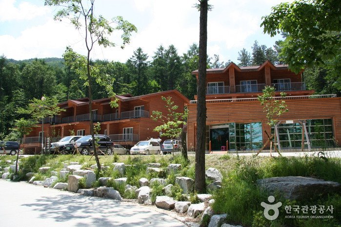 [Gyeonggi-do] Bosque Recreativo Nacional del Monte Yumyeongsan (국립 유명산자연휴양림)