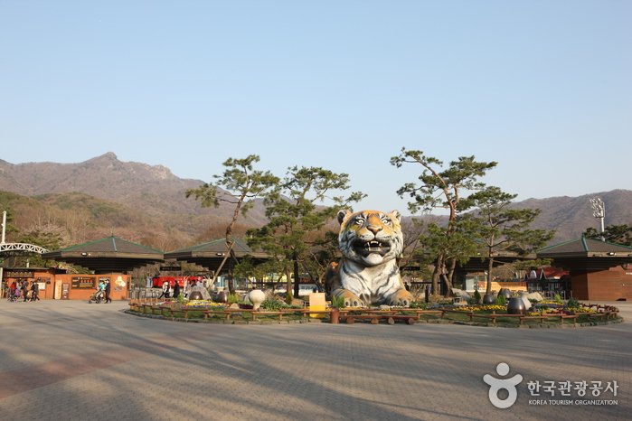 [Gyeonggi-do] Gran Parque de Seúl (서울대공원)