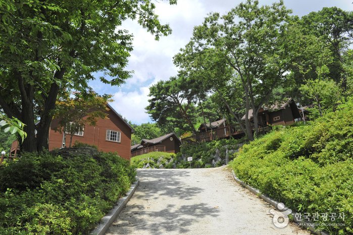 [Gyeonggi-do] Bosque Recreativo del Monte Yongmunsan (용문산자연휴양림)