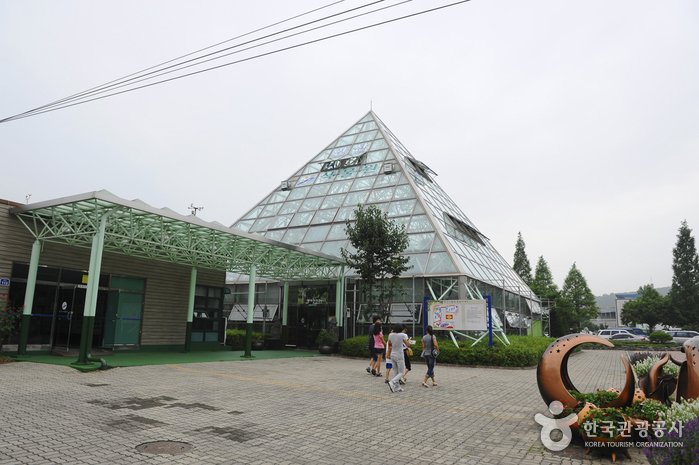 [Gyeonggi-do] Jardín Botánico de Ansan (안산식물원)