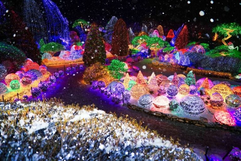 [Gyeonggi-do] Festival de Luces de The Garden of Morning Calm (Arboreto Achimgoyo) (아침고요수목원 오색별빛정원전)