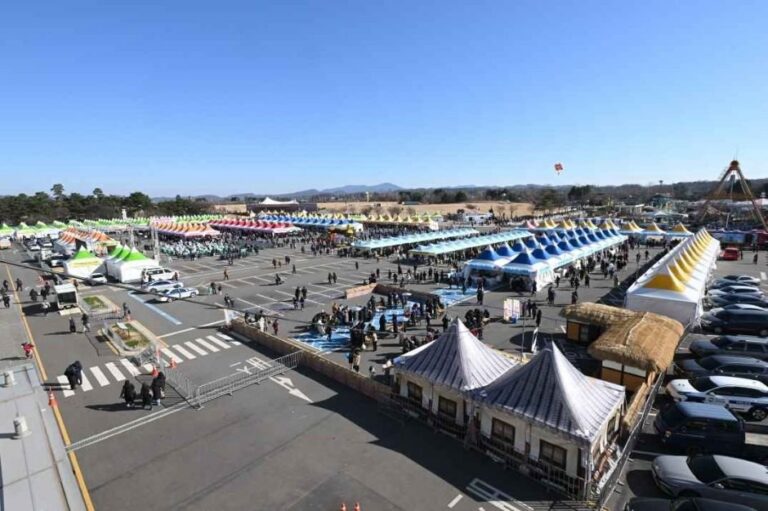 [Gyeonggi-do] Festival del Frijol Jangdan de Paju (파주장단콩축제)