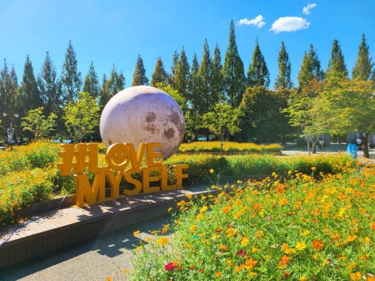 [Gyeonggi-do] Festival de las Flores de Otoño de Goyang (고양가을꽃축제)