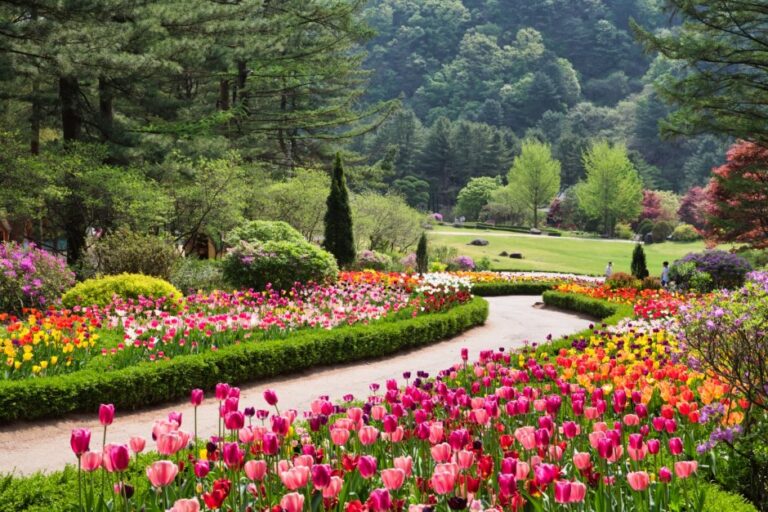 [Gyeonggi-do] Festival de Flores Primaverales (봄꽃페스타)