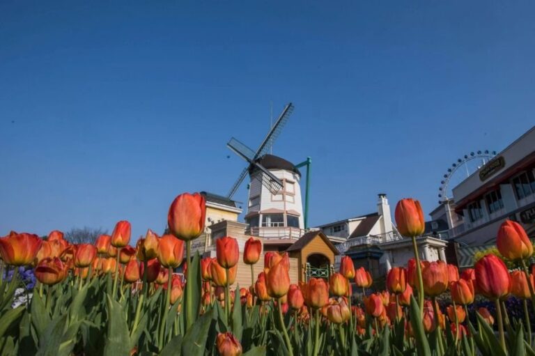 [Gyeonggi-do] Everland Four Seasons Garden (에버랜드 Four Seasons Garden)